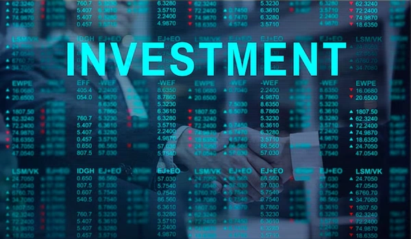 Birla Evara Investment