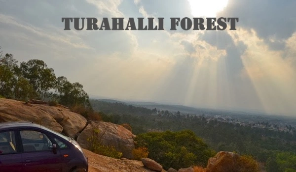 Turahalli Forest